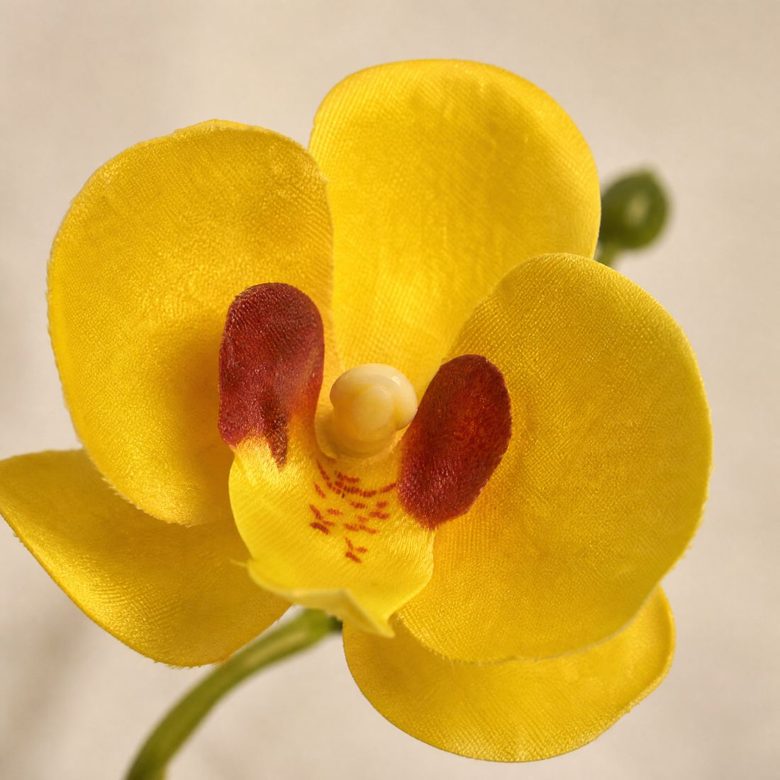 Phalaenopsis Orchid Stem – 21 Heads Faux Floral Arrangement Home Decor
