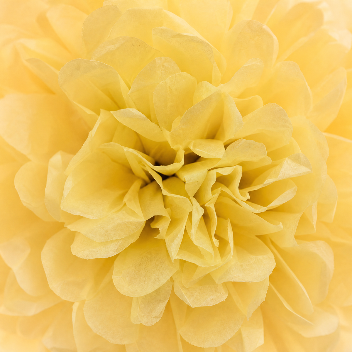 Paper Pom Poms 5 Pack – 4 to 12 Inch Wedding Birthday Party Hanging Decor