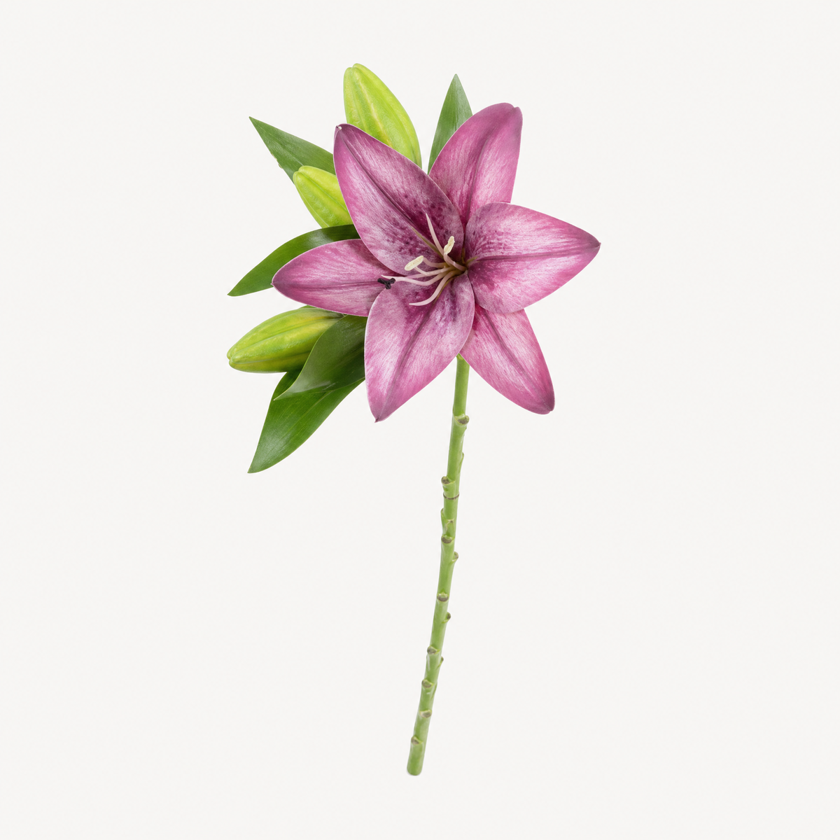 Faux Lily Branch – Artificial Stem for Wedding and Home Decor, 41cm