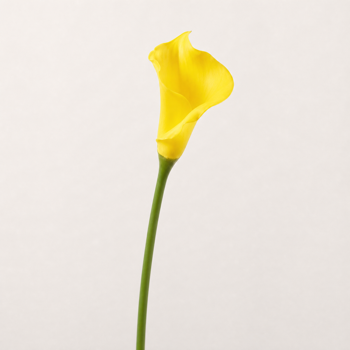 Calla Lily Faux Stem – PU Single Stem, 67cm, Wedding Table Floral Decor