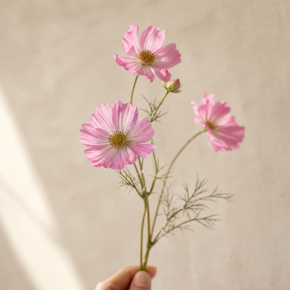 Faux Cosmos Flower Stem – Silk Flocked, 60 cm, Wedding Table Arrangement Decor
