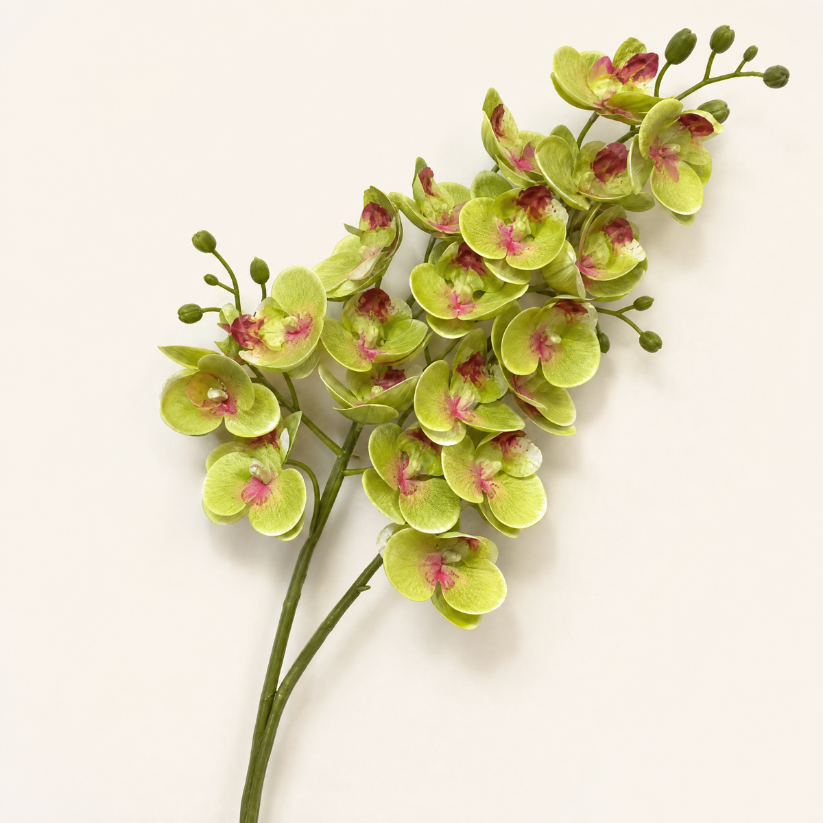 Phalaenopsis Orchid Stem – 21 Heads Faux Floral Arrangement Home Decor