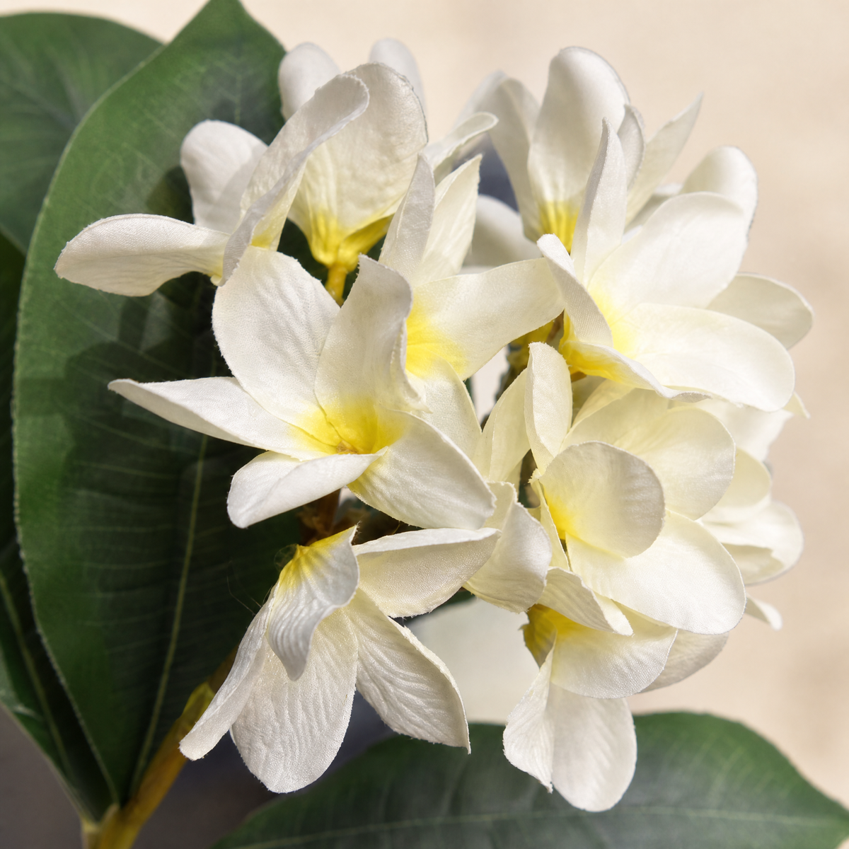 Artificial Plumeria Branch – Silk Frangipani White Flower Stem Faux Floral Decor