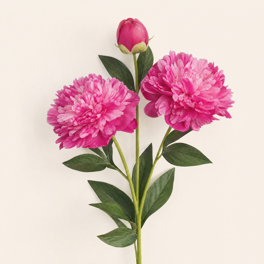 Faux Silk Peony Stem – 30 Inch Artificial Flower for Wedding Table Centerpiece
