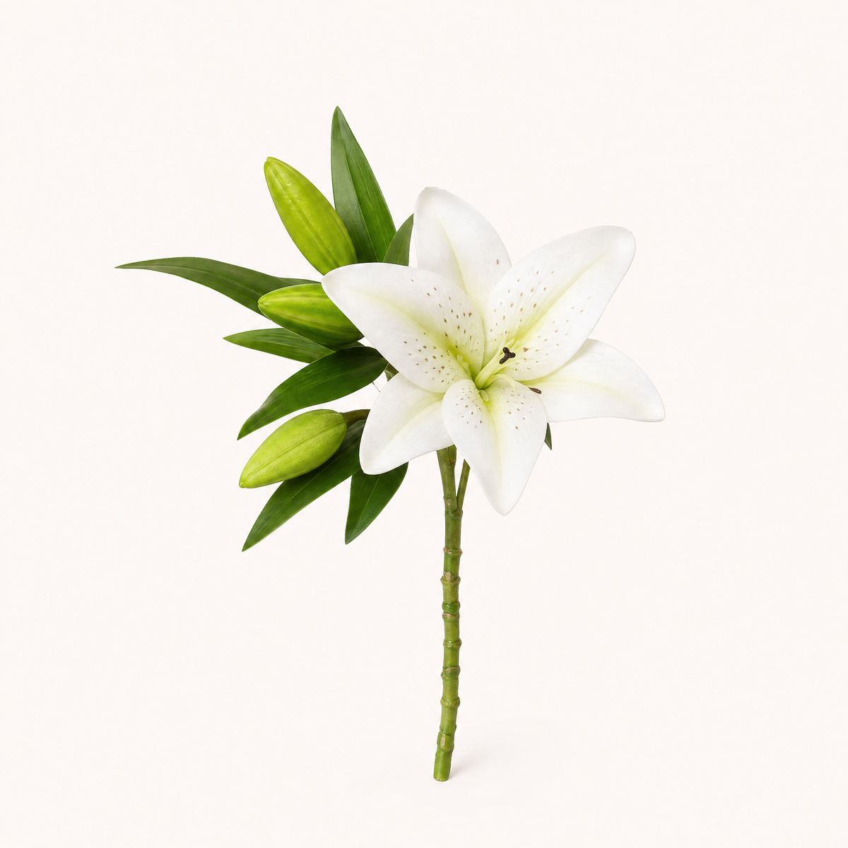 Faux Lily Branch – Artificial Stem for Wedding and Home Decor, 41cm