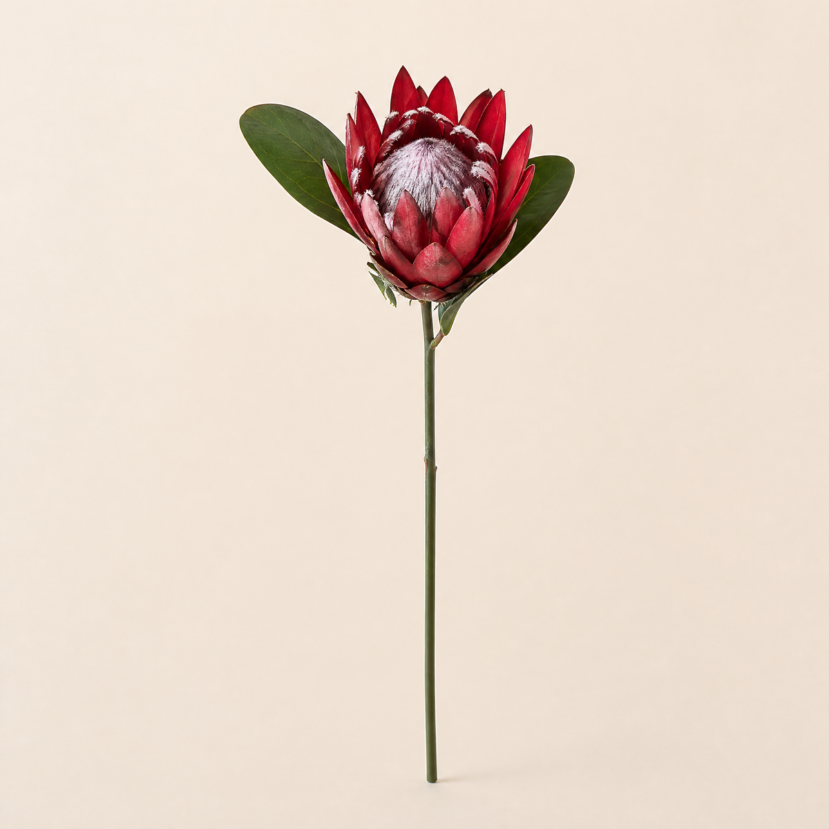 Faux King Protea Stem – Silk Artificial Flower for Wedding and Home Decor
