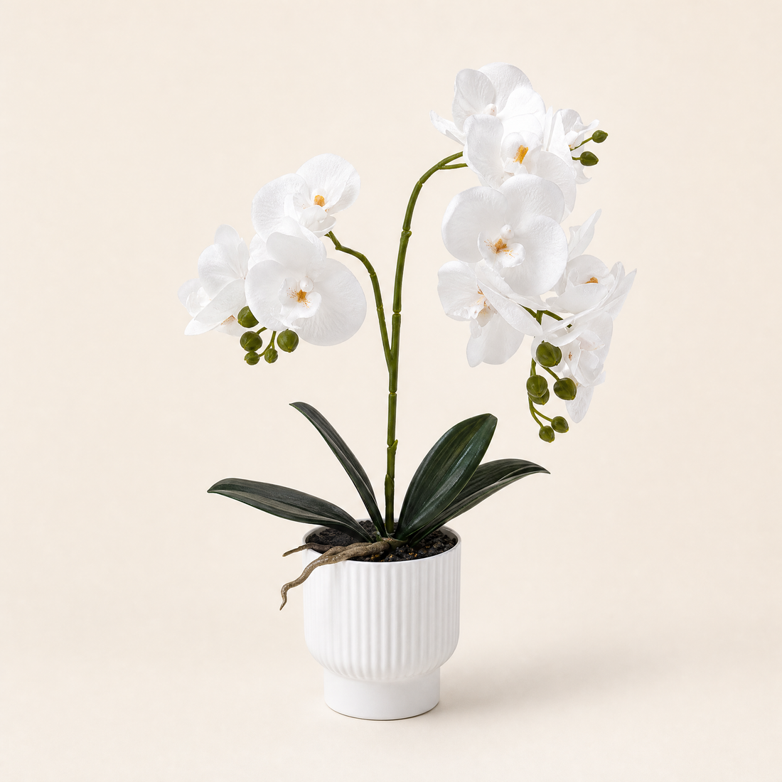Faux Orchid Arrangement in Pot – Silk Phalaenopsis Bonsai Home Office Desk Decor