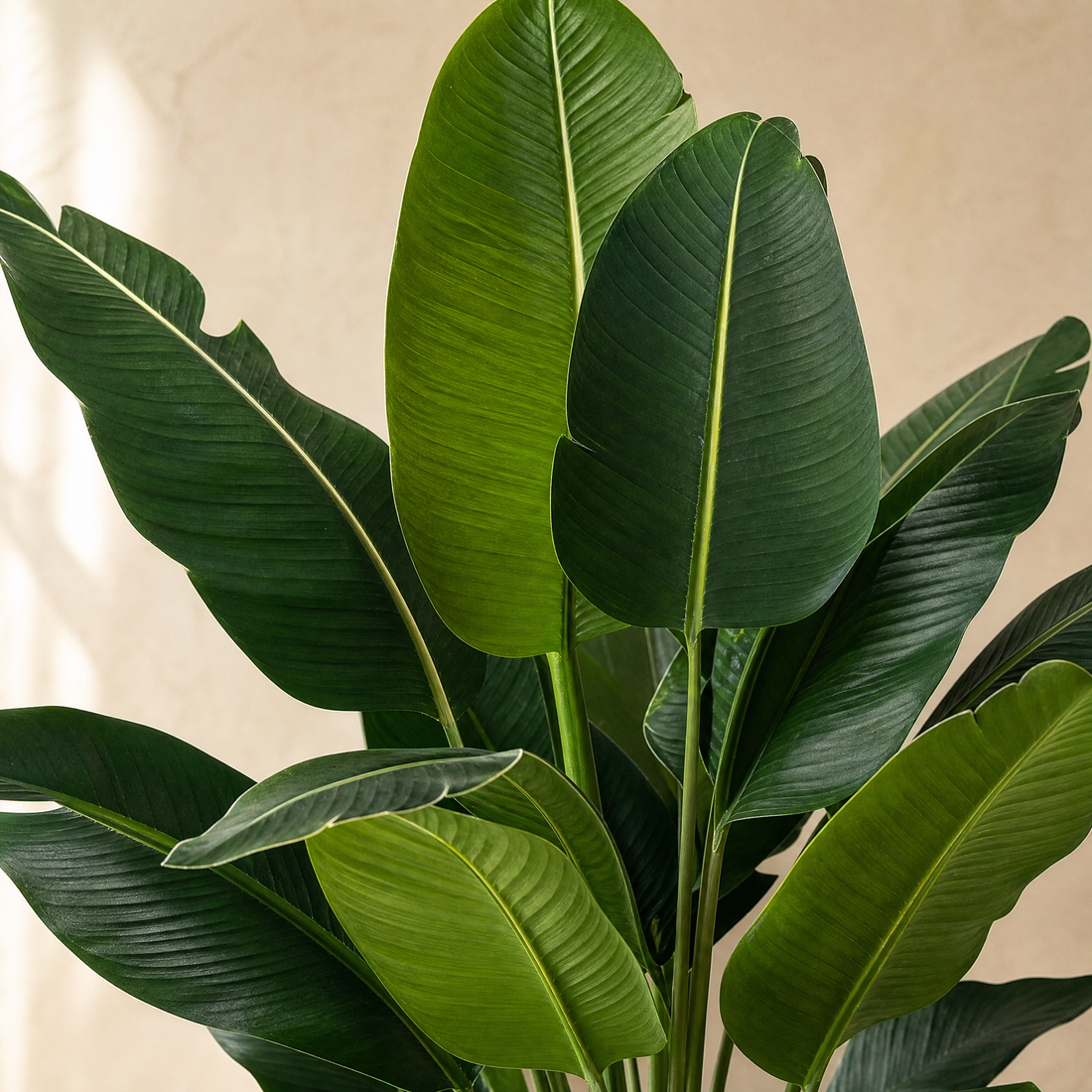 Artificial Palm Tree Set – 82cm Faux Tropical Plants for Living Room Home Decor