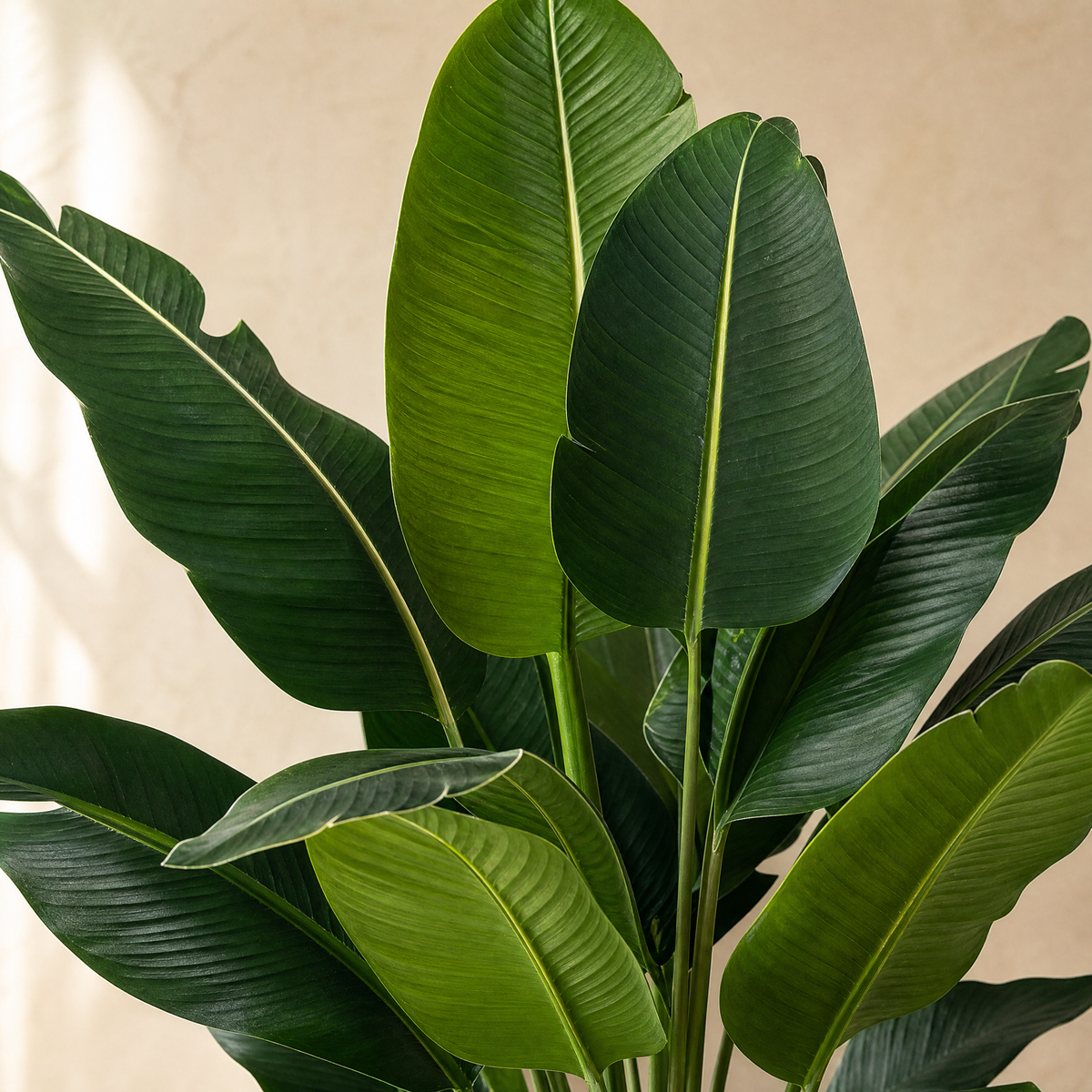 Artificial Palm Tree Set – 82cm Faux Tropical Plants for Living Room Home Decor