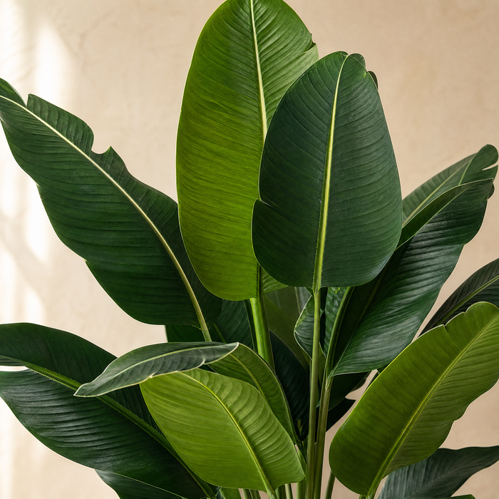 Artificial Palm Tree Set – 82cm Faux Tropical Plants for Living Room Home Decor