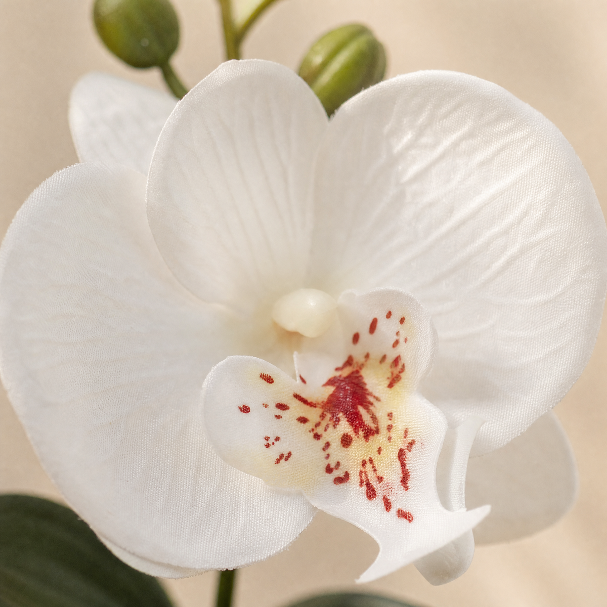 Faux Orchid Bonsai Pot – Mini Silk Phalaenopsis Desktop Decor Home Office Gift