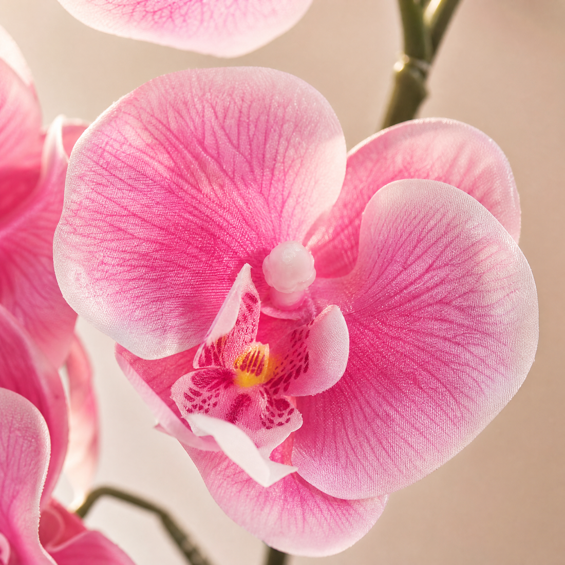 Faux Orchid Arrangement in Pot – Silk Phalaenopsis Bonsai Home Office Desk Decor