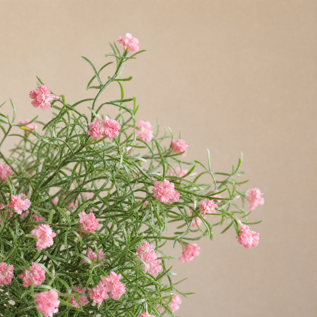 Faux Plum Blossom Stem – Artificial Wildflower Spray for Home and Wedding Decor