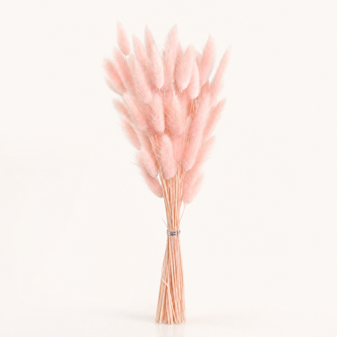 Dried Bunny Tail Grass Bouquet – Lagurus Ovatus Wedding Decor Home Floral Stems