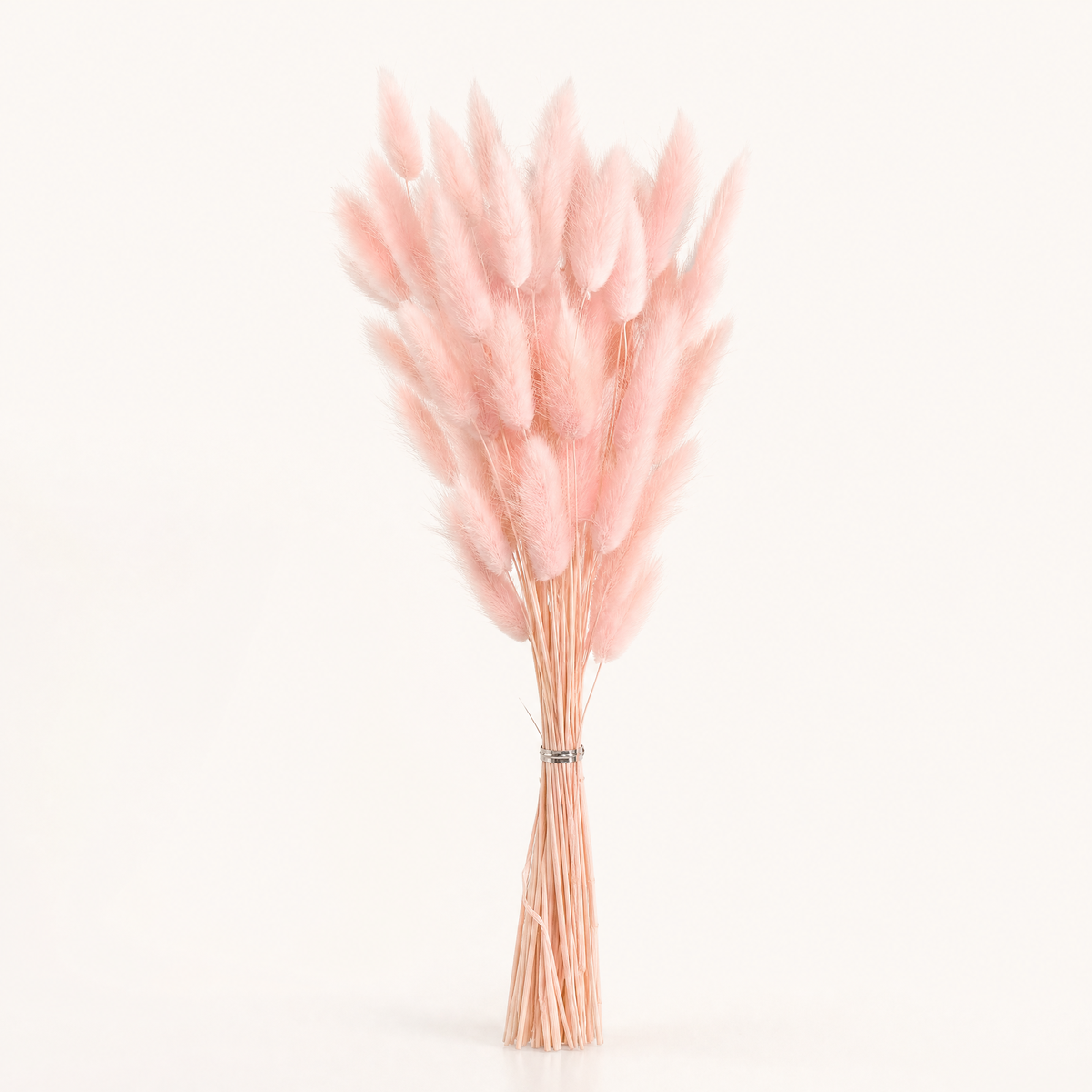 Dried Bunny Tail Grass Bouquet – Lagurus Ovatus Wedding Decor Home Floral Stems