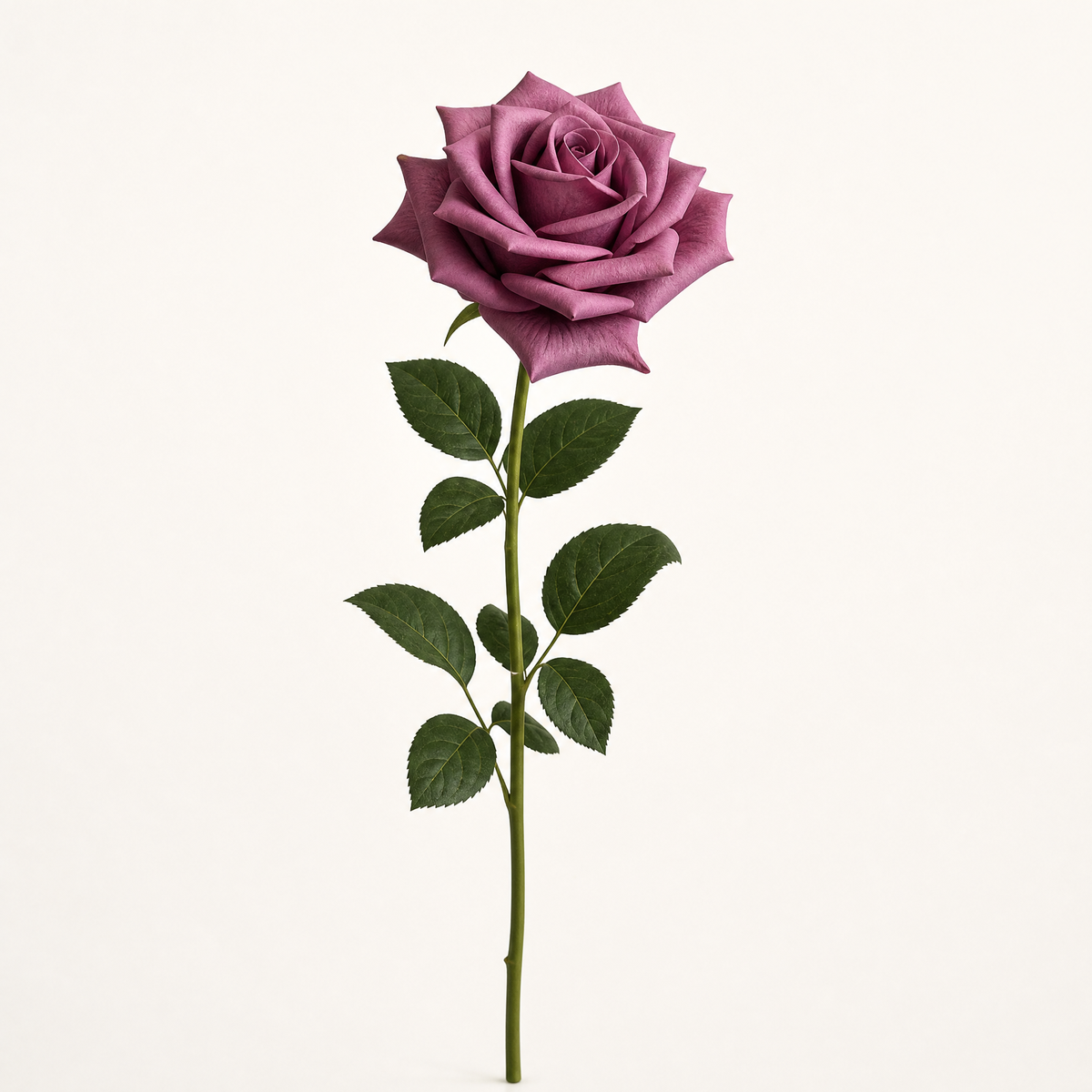 Faux Rose Stems Set of 5 – Real Touch Silk, Bridal Bouquet, Home Floral Decor