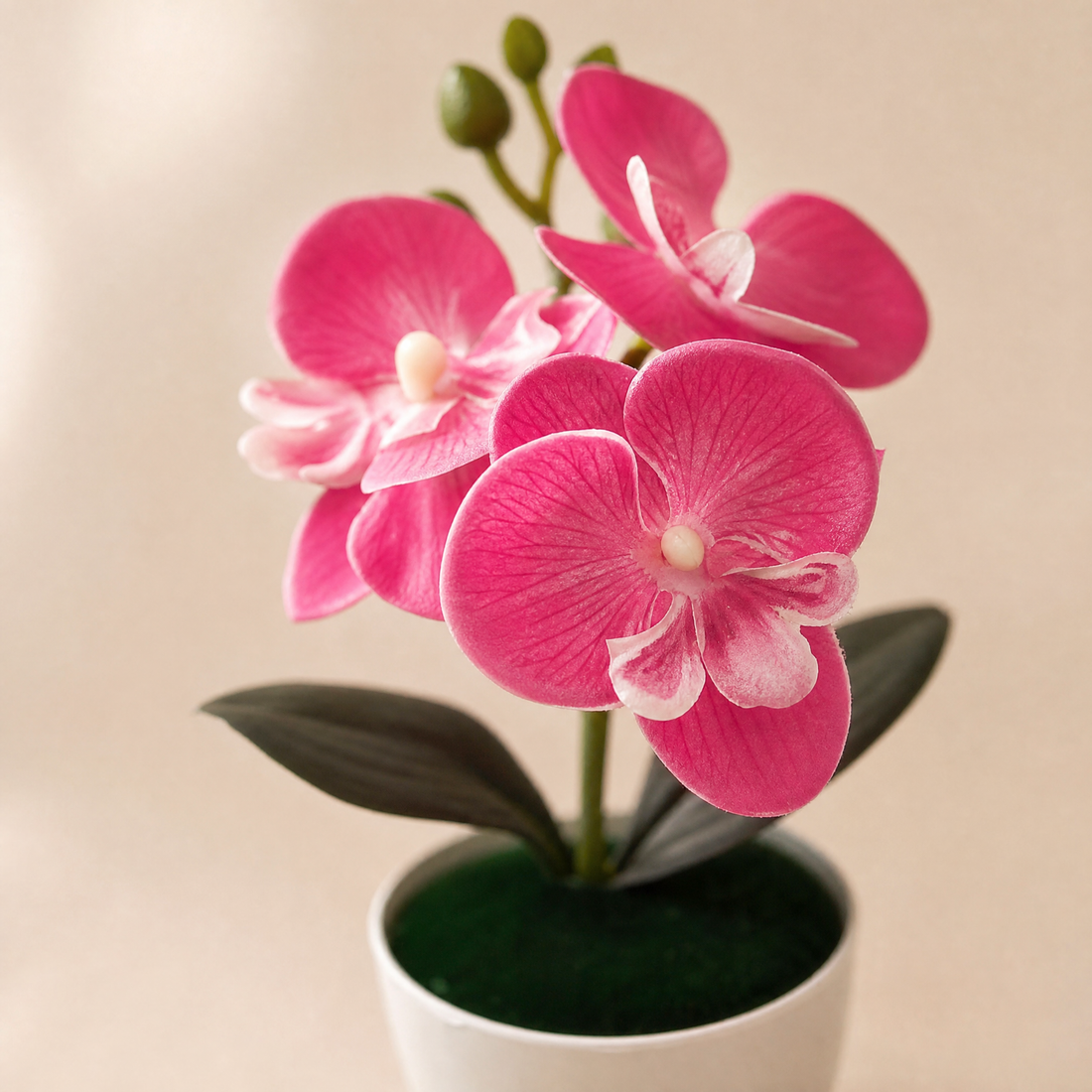 Faux Orchid Bonsai Pot – Mini Silk Phalaenopsis Desktop Decor Home Office Gift
