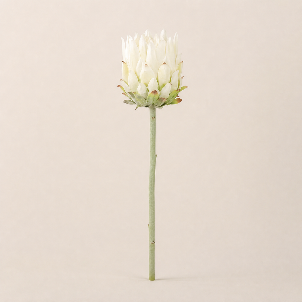 Faux Protea Stem – Lifelike Silk Artichoke Flower for Home Decor and Wedding