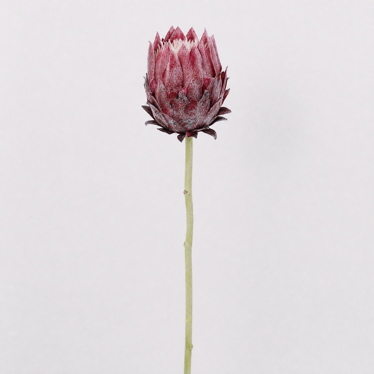 Faux Protea Stem – Lifelike Silk Artichoke Flower for Home Decor and Wedding