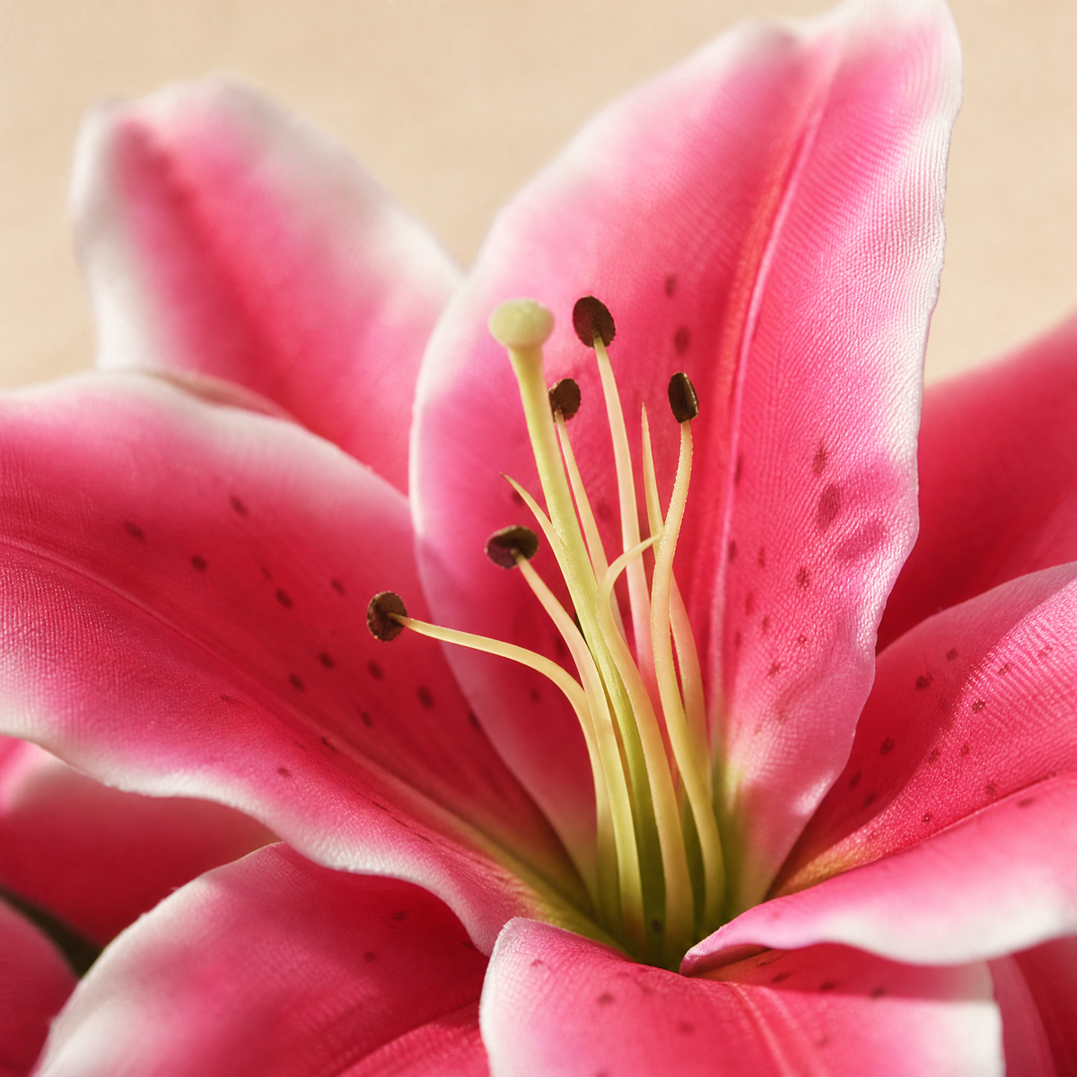 Silk Lily Bouquet 9 Heads – Faux Floral Branch for Wedding Home Decor Gift