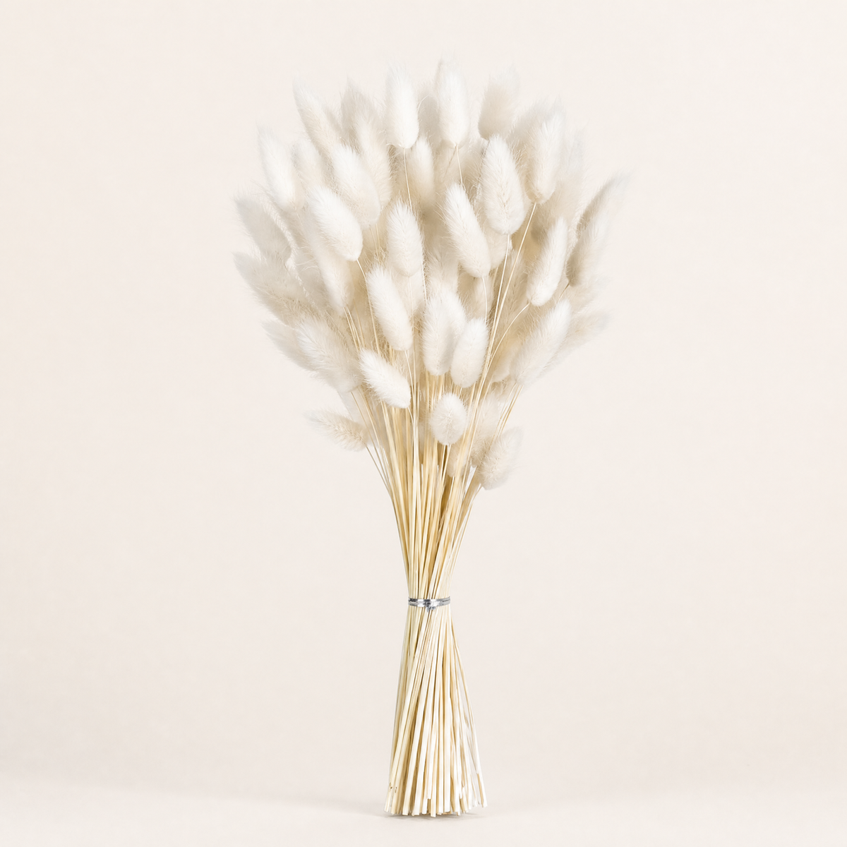 Dried Bunny Tail Grass Bouquet – Lagurus Ovatus Wedding Decor Home Floral Stems
