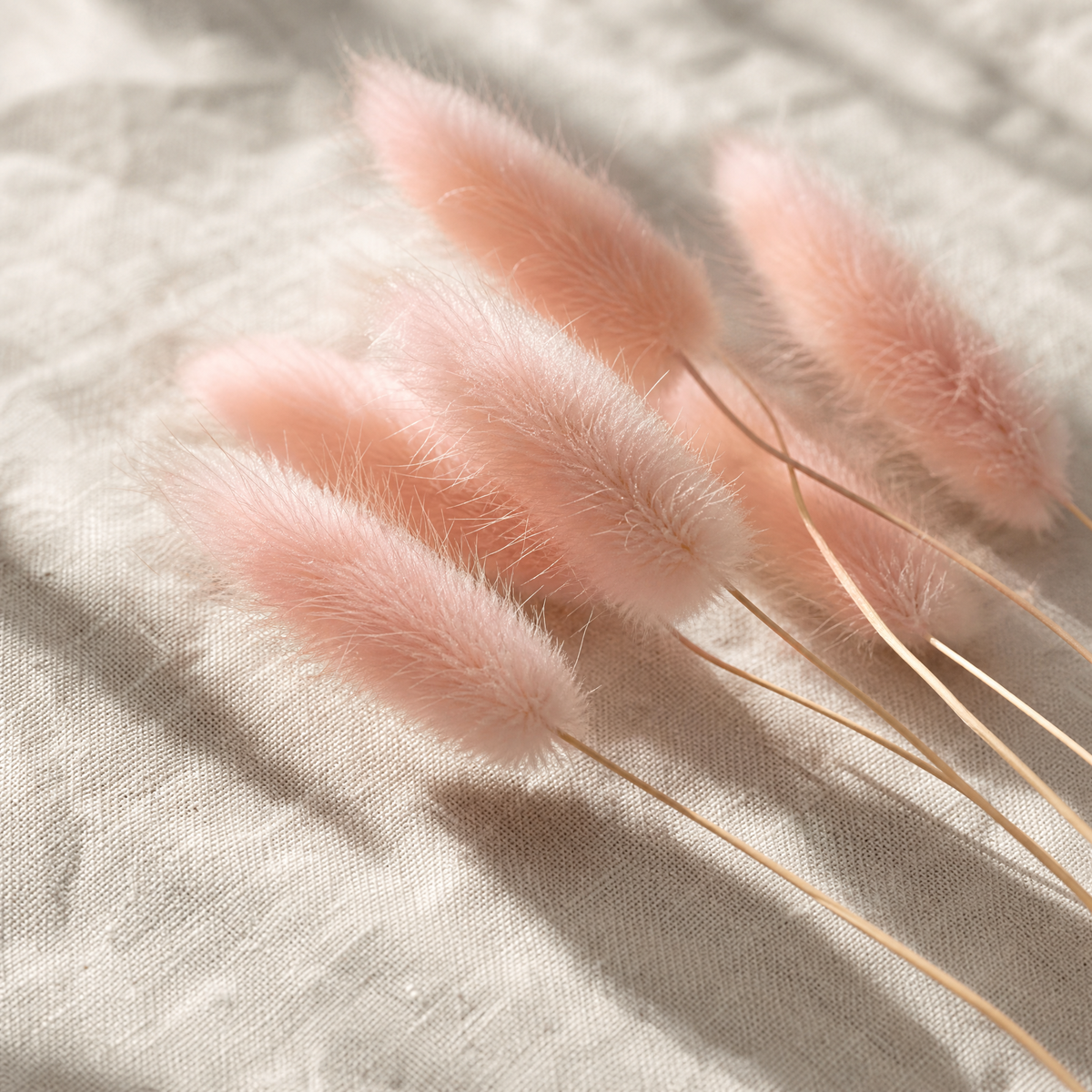 Dried Bunny Tail Grass Bouquet – Lagurus Ovatus Wedding Decor Home Floral Stems