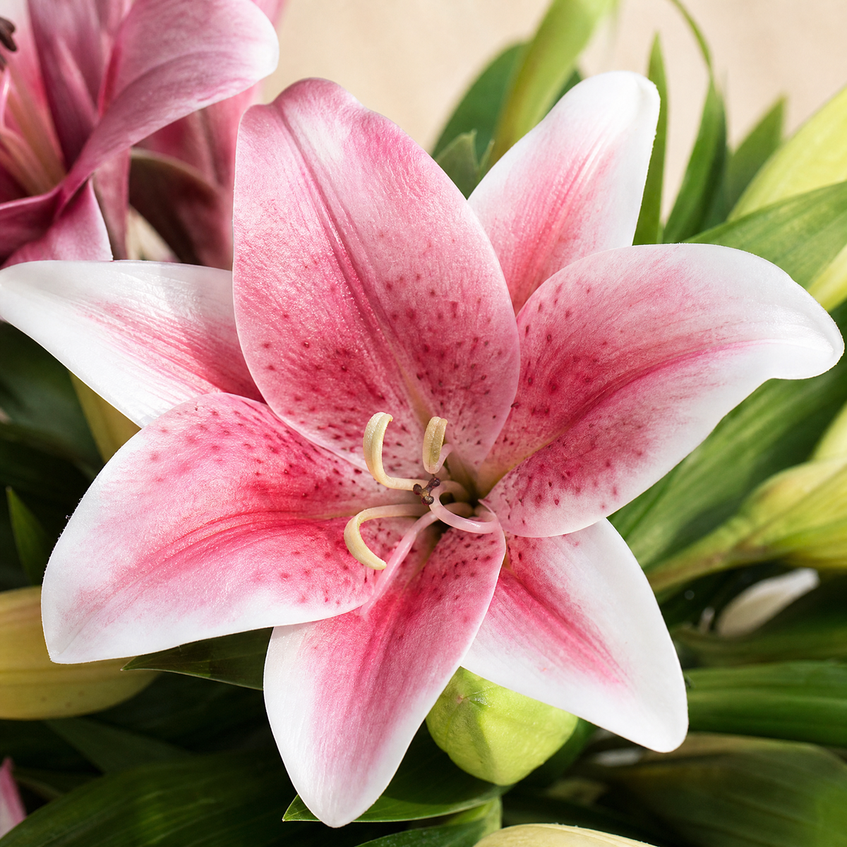 Faux Lily Branch – Artificial Stem for Wedding and Home Decor, 41cm