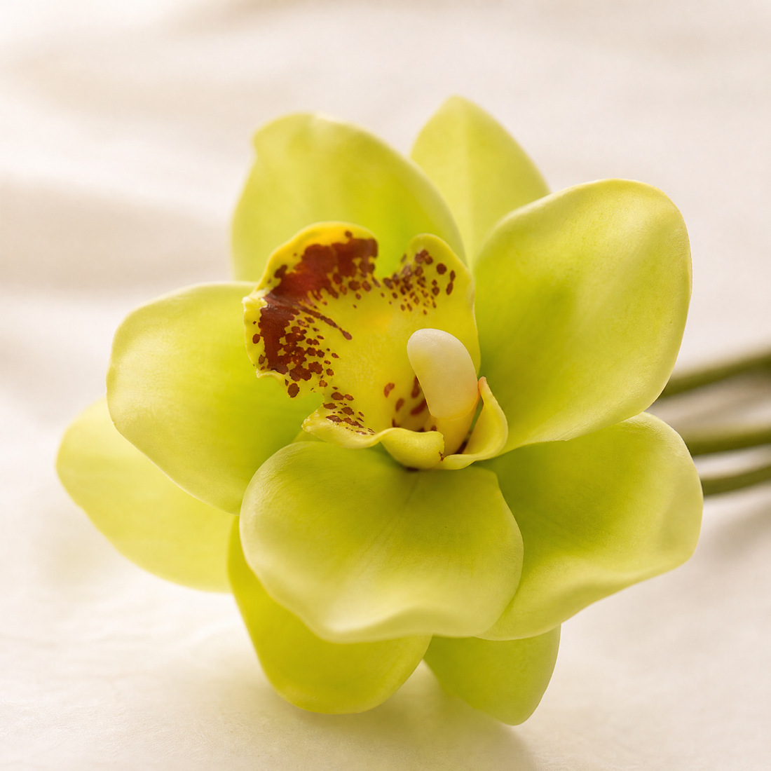 Faux Cymbidium Orchid Bouquet – 6 Head Real Touch Latex Wedding Bridal Flowers