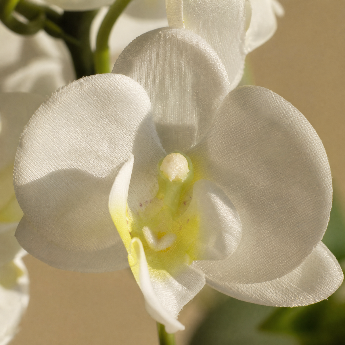 Artificial Orchid Pot Plant – Silk 6 Bloom Butterfly Bonsai, Home and Desk Decoration