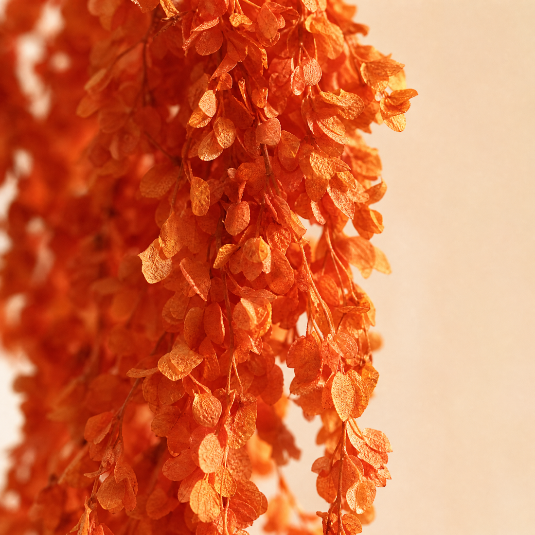 Faux Hanging Amaranthus Stem – Silk Trailing Spray for Wedding Floral Arrangements